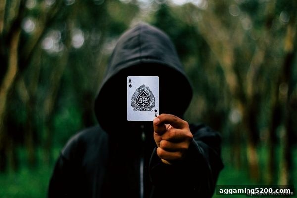 爱游戏体育全站深度解析：Habanero掼蛋出牌时机的制胜策略